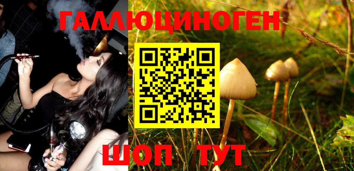 Галлюциногенные грибы MAGIC MUSHROOMS Белогорск