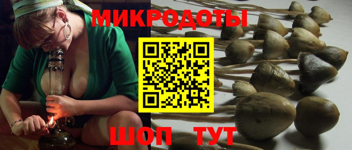 Белогорск  Псилоцибиновые грибы Cubensis  Галлюциногенные грибы ЛСД  Вход с VPN 
